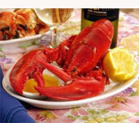 maine_lobster2