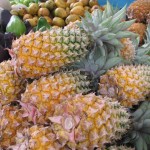 In Search of Black Pineapples on Antigua