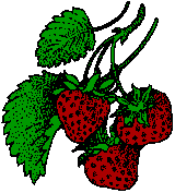 strawberry14