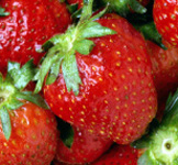 West Cape May Strawberry Festival