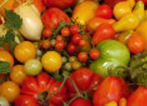 Tiptoe Through the Tomatoes
