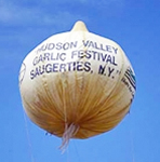 newyork_hudson-valley_garlic