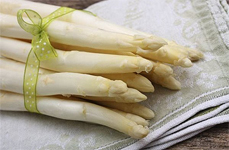 czech-rep_asparagus-fest