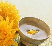 chrysanthemum-tea