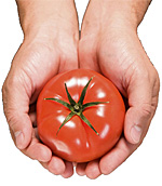 Celebrate Tomatoes in Reynoldsburg, Ohio