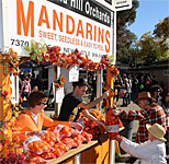 Mountain Mandarin Festival in California
