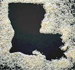 Ingrained – The History of Rice in Louisiana
