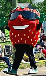 Strawberry Festival, West Tennessee, Humbolt
